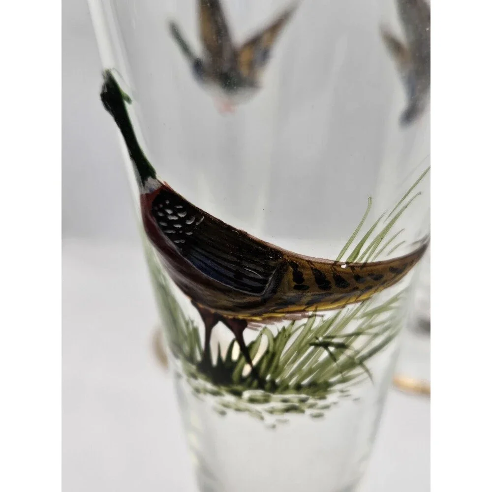 Set of 5 Vintage Wildlife Fowl Birds Pilsner Beer Glasses